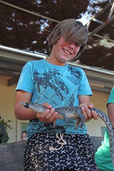 Mikko haelt Krokodil
